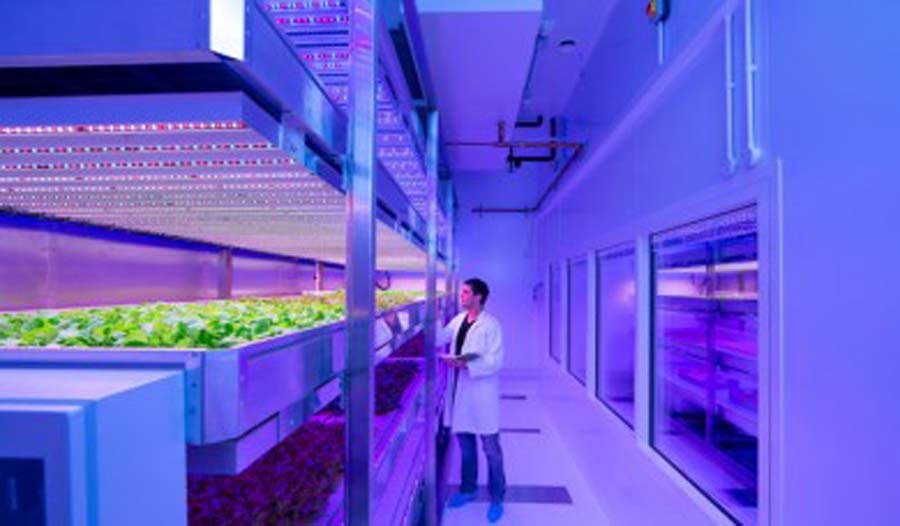 Ứng dụng bóng đèn cực tím tia UV Philips diệt khuẩn phòng sạch