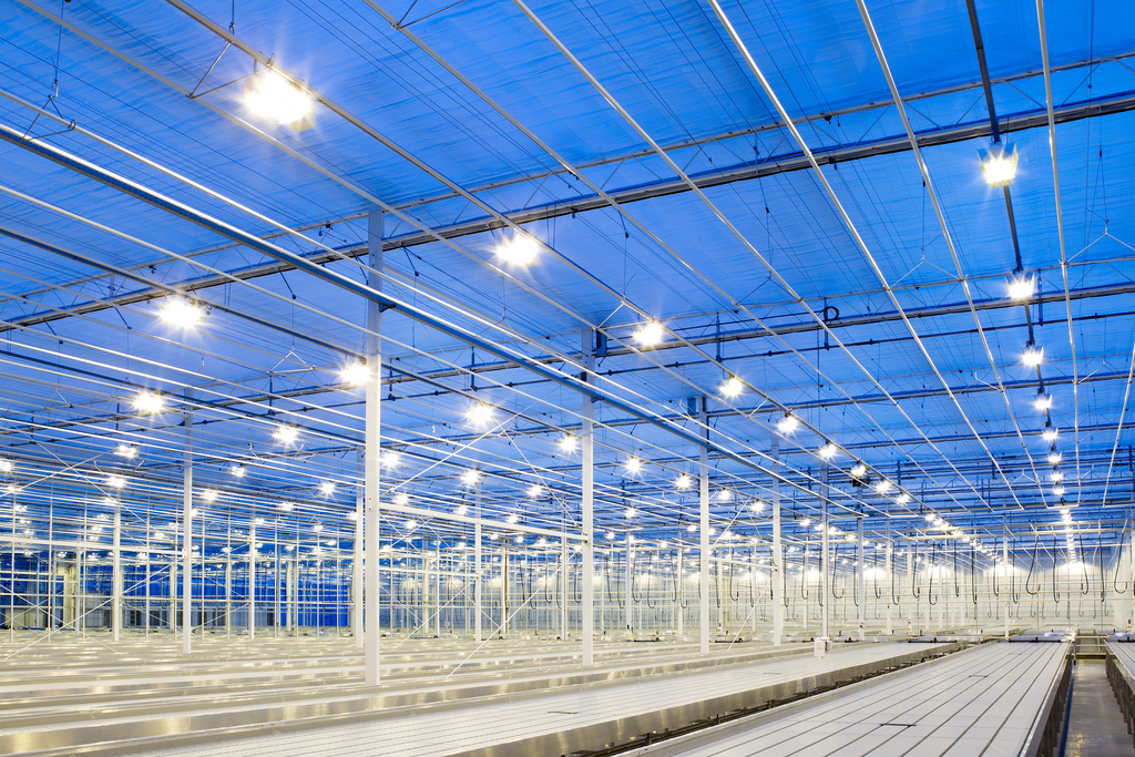 Bóng đèn Led Philips nhà xưởng Bóng đèn Led Philips nhà xưởng