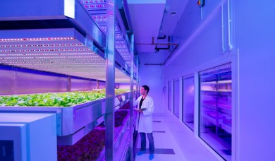 Bảo quản thực phẩm bằng công nghệ bóng đèn diệt khuẩn tia cực tím UV Philips