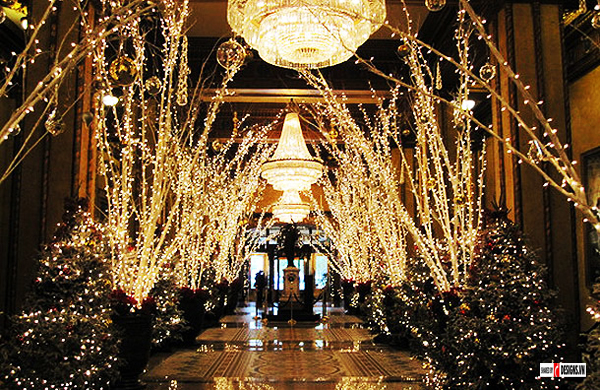 Đèn Led dây Philips