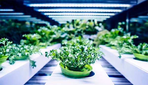 Đèn pha Led ngoài trời